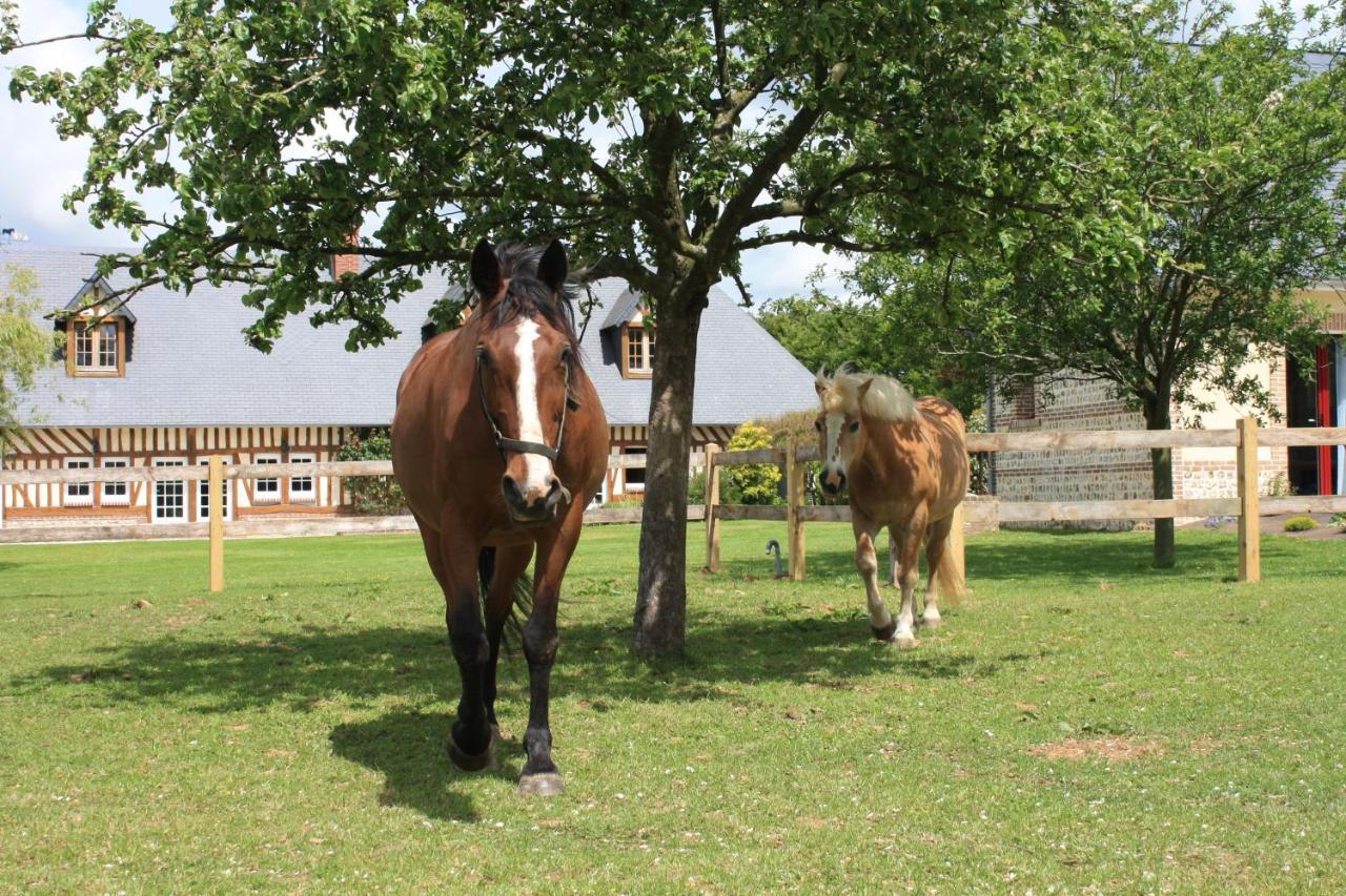 Le Clos Marie Sausseuzemare-en-Caux Luaran gambar